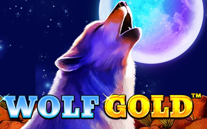 Play Wolf Gold video slot at Bambet Casino and win.